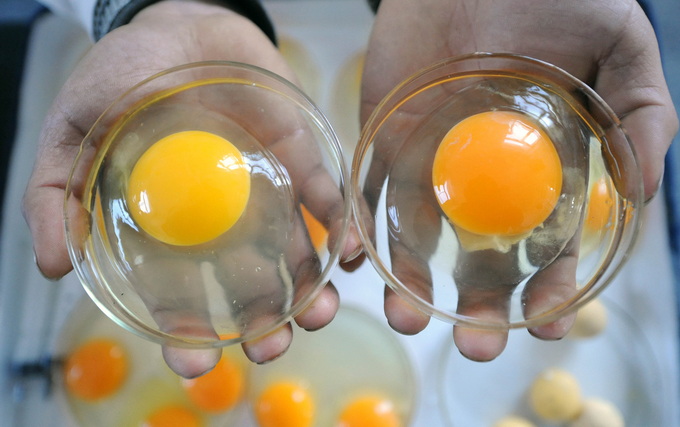 “三高”人群不能吃蛋黄？10月“科学”流言榜发布