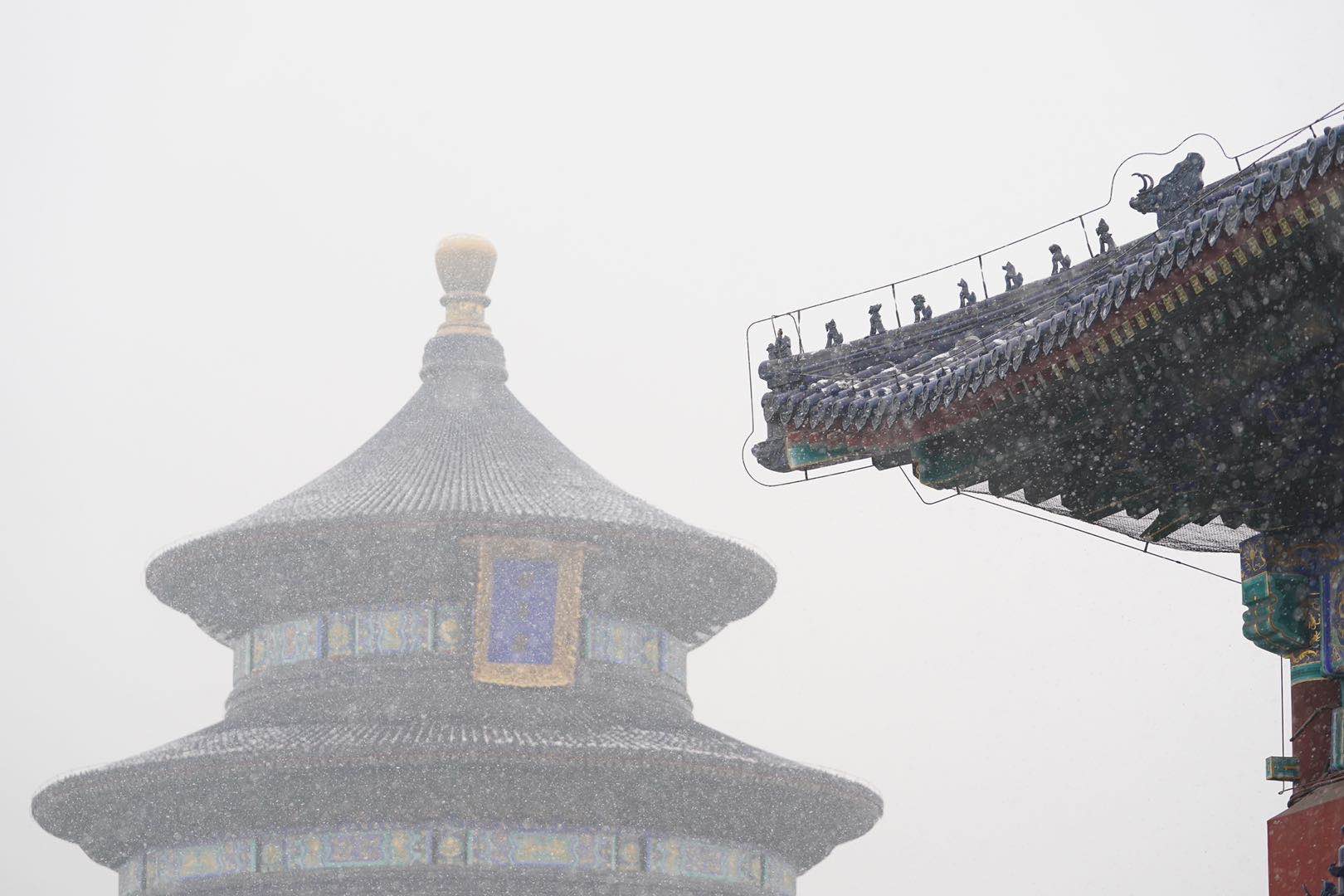 市民公园“赶趟儿”赏雪 北京这仨公园游客最多