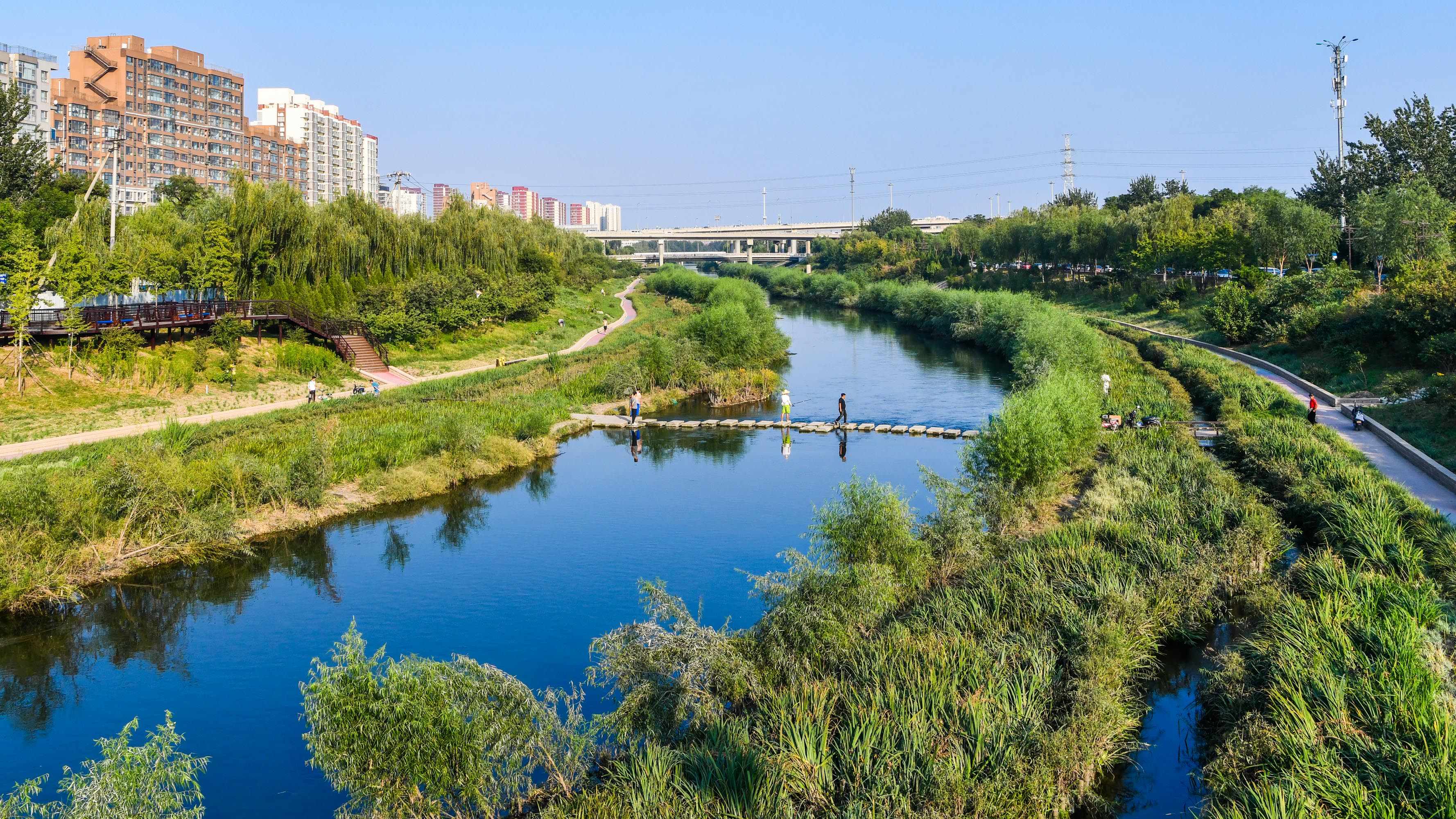 北京市凉水河岸边咋有“梯田”和“蜂窝”？明春将呈现特色美景！