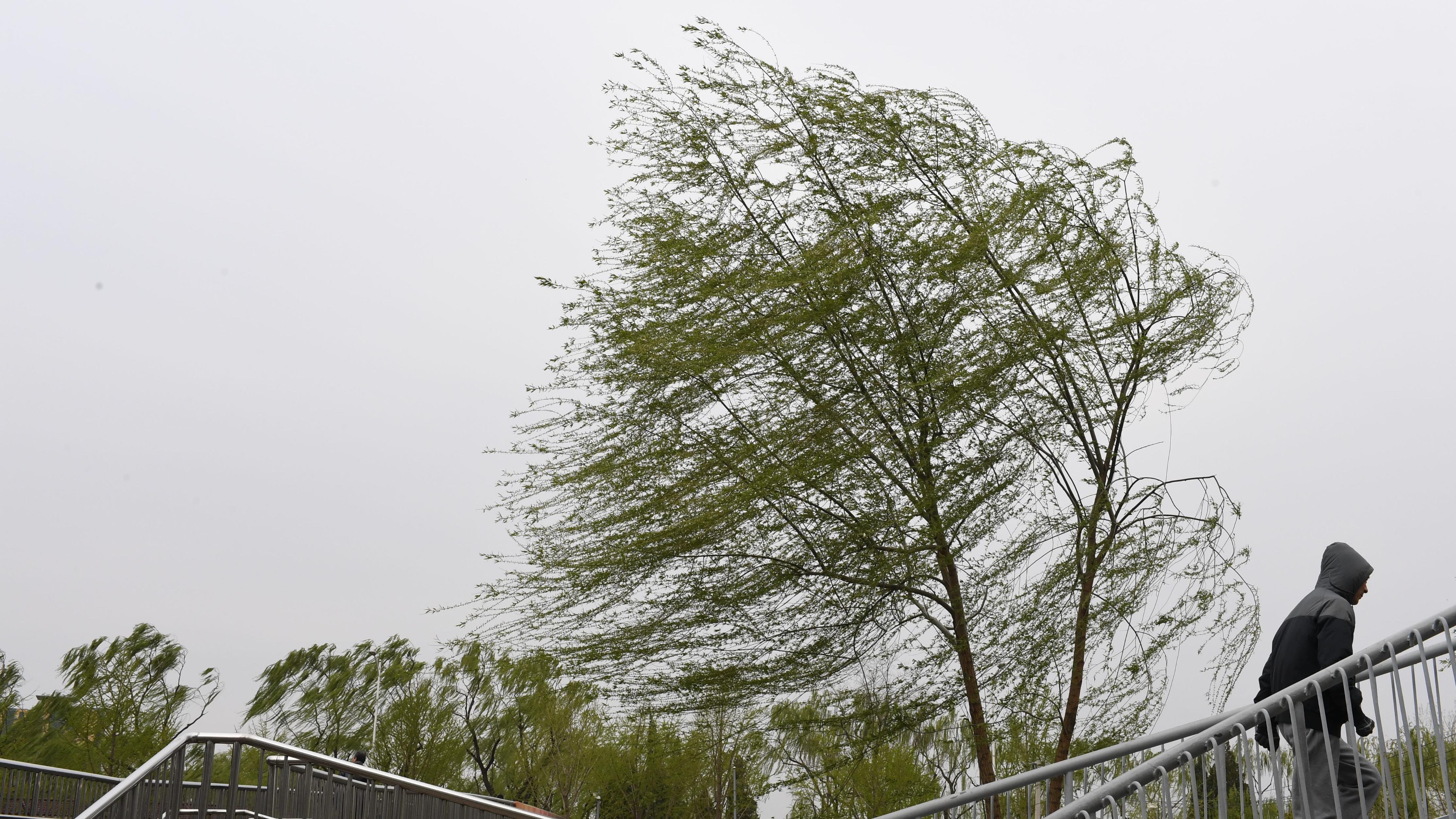 北京今日大风带货沙尘 明后大风继续肆虐_手机新浪网