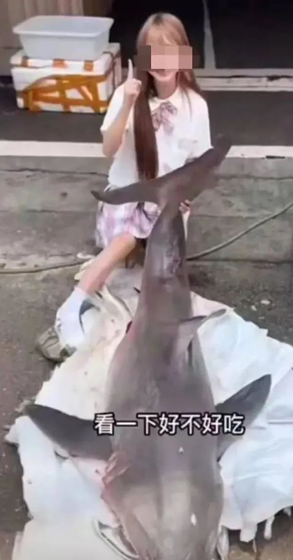 美食博主拍摄吃“鲨鱼”视频走红 “大白鲨”竟是二级保护动物