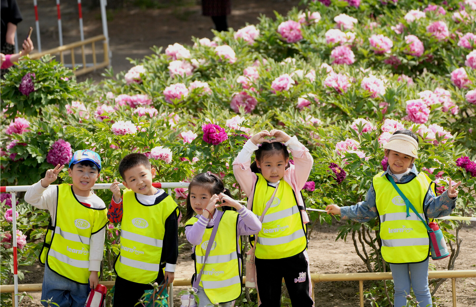 去看最美的“校园”，郑州高新区西湖小学这场春游活动带孩子们沉浸式感受大自然-大河新闻